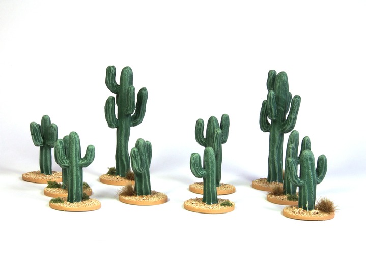 Cacti